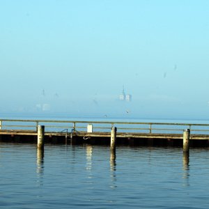 002012hering3