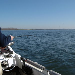 002012hering6