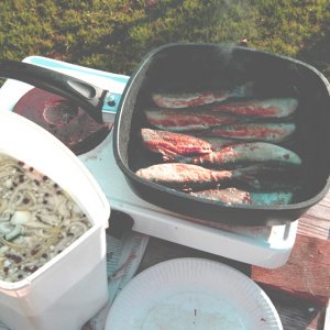 002012hering10