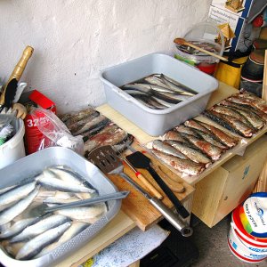 002012hering11