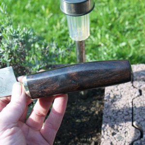 P3270510 Bildgröße ändern