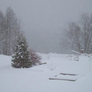 "Balkon-Blick" auf den Fjord