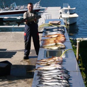 gefangen zu 5 an einem halben Angeltag
