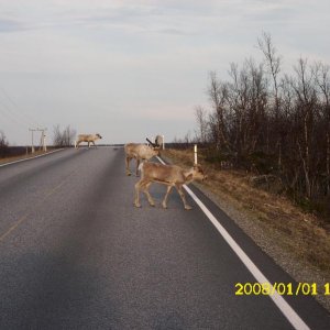 Die gehören dazu......