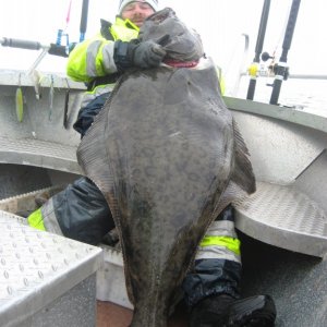 IMG 1586 [Max. Breite 1024 Max. Höhe 768]