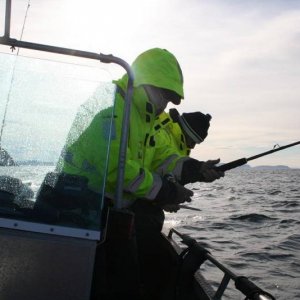 IMG 6205 (1024 x 768)