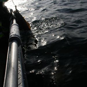 IMG 6206 (1024 x 768)