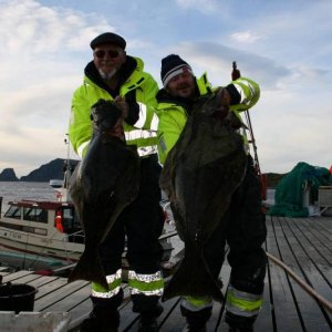 IMG 6218 (1024 x 768)