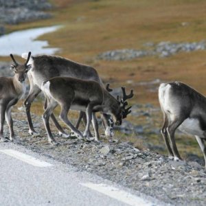 IMG 6300 (1024 x 768)