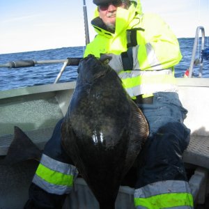 IMG 1454 [Max. Breite 1024 Max. Höhe 768]