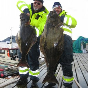 IMG 1459 [Max. Breite 1024 Max. Höhe 768]