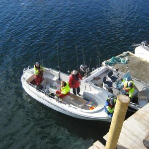 IMG 1532 [Max. Breite 1024 Max. Höhe 768]