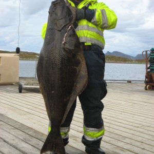 IMG 1567 [Max. Breite 1024 Max. Höhe 768]