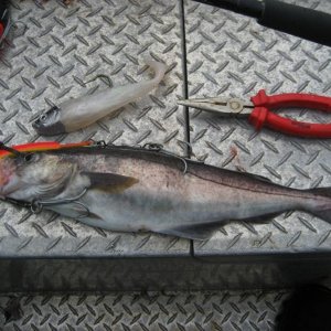 IMG 1582 [Max. Breite 1024 Max. Höhe 768]