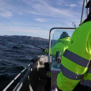 IMG 6182 [Max. Breite 1024 Max. Höhe 768]