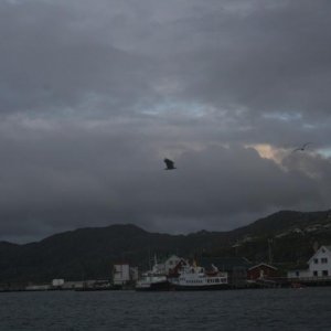 IMG 6456 [Max. Breite 1024 Max. Höhe 768]