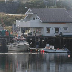 IMG 6419 (1024 x 768)