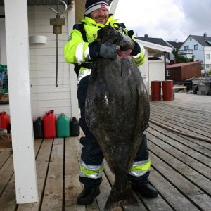 IMG 6328 (1024 x 768)