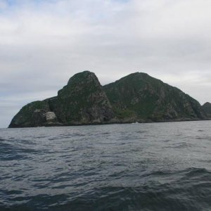 IMG 6364 (1024 x 768)