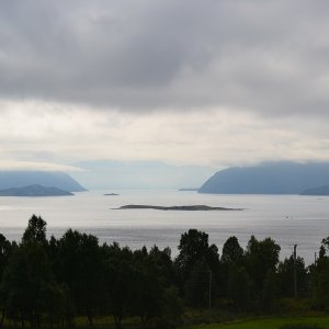 Trondheimleia klein 2