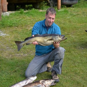 Trondheimleia klein 3