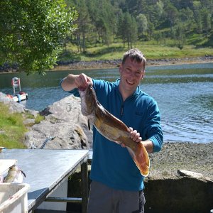 Trondheimsleia klein 7