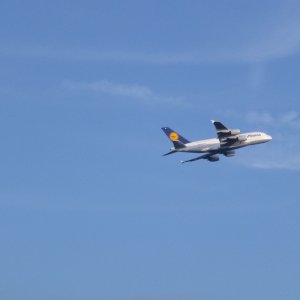 Auch das gehört zum Mainflair