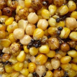 Welcher Fisch kann da nein sagen