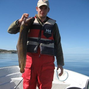 Mein Sohn hats vorgemacht, kann noch etwas größer werden