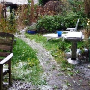 heute im garten