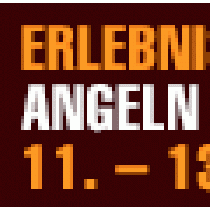 angeln 2013 468x60