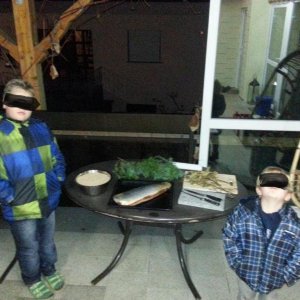 Ungeduldige Fischgeier