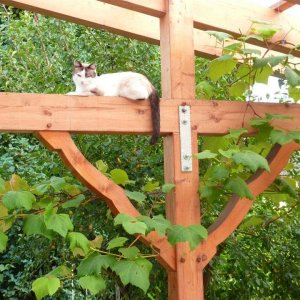 293434 462004163833283 2005842801 n