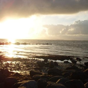 Nordsee sommer 08 076