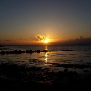 Nordsee sommer 08 080