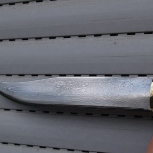 P1102737http://www.norwegen-angelforum.net/album.php?albumid=991&attachmentid=93015