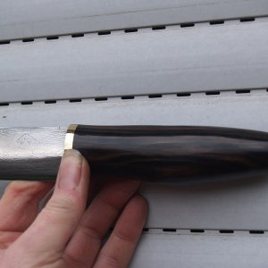 P1102738http://www.norwegen-angelforum.net/album.php?albumid=991&attachmentid=93016