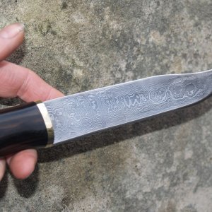 P1102740http://www.norwegen-angelforum.net/album.php?albumid=991&attachmentid=93018