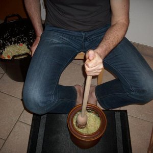 kraut2