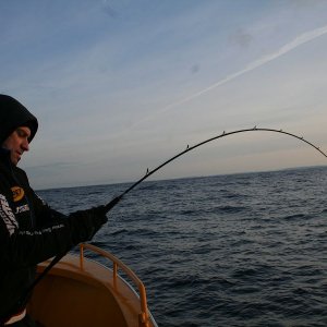 k IMG 6212