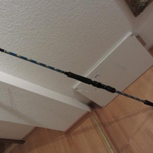 IMG 0919