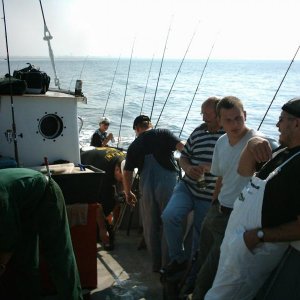 Bild9