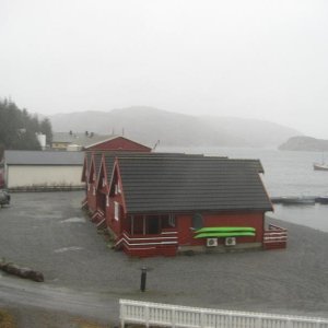 IMG 1846