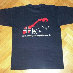 T Shirthinten