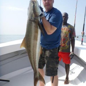Cobia