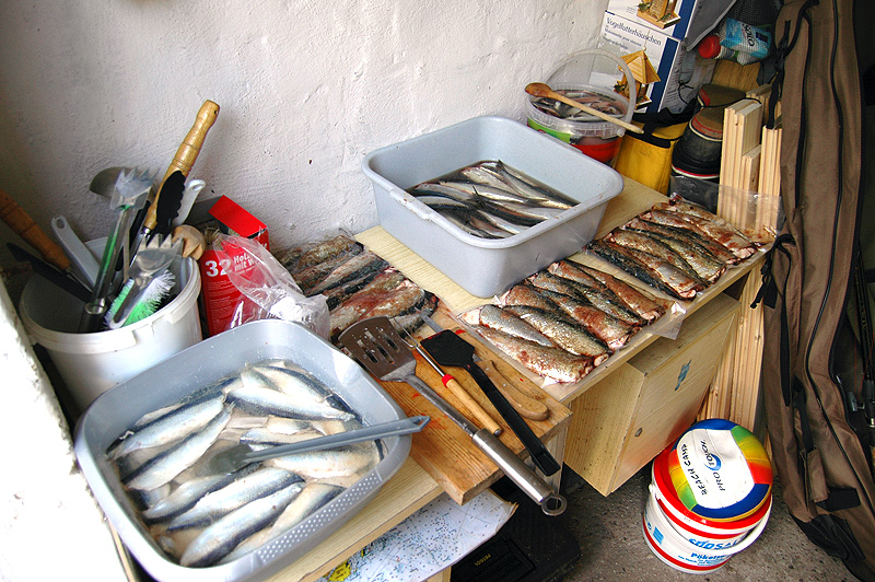 002012hering11