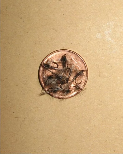 10 auf einen Streich