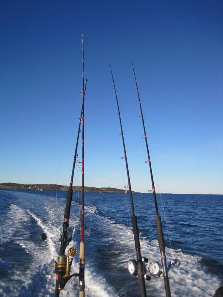 12166114 953294838042898 582001542 n