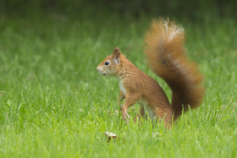 20130922-DSC03381.jpg