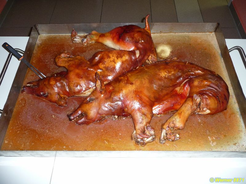 2014 10 NAF Reichenbach 15